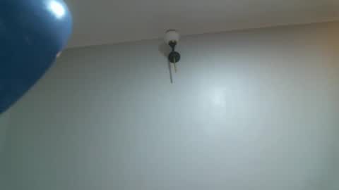 Snapshot of shiro254 chatting on November 24, 10:37 am Shi-ro online show from November 24, 10:37 am