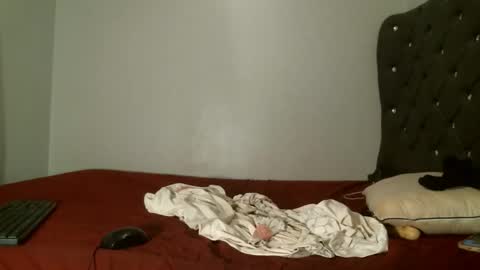 Snapshot of shiro254 chatting on February 7, 10:52 am Shi-ro online show from February 7, 10:52 am