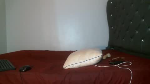 Snapshot of shiro254 chatting on February 17, 8:15 pm Shi-ro online show from February 17, 8:15 pm