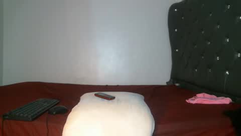 Snapshot of shiro254 chatting on February 27, 12:43 am Shi-ro online show from February 27, 12:43 am