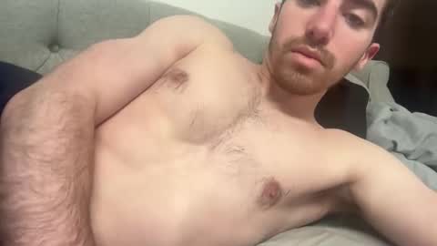 shirtlesshunk15 online show from February 20, 3:25 am
