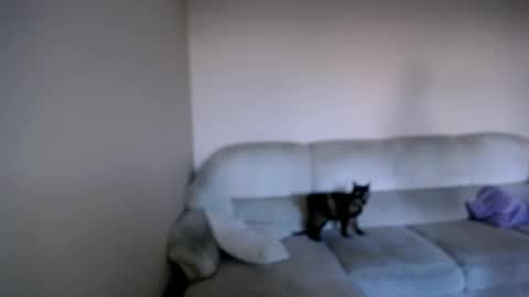 Snapshot of shy_sabrina_ chatting on April 26, 3:53 pm shy_sabrina_ online show from April 26, 3:53 pm