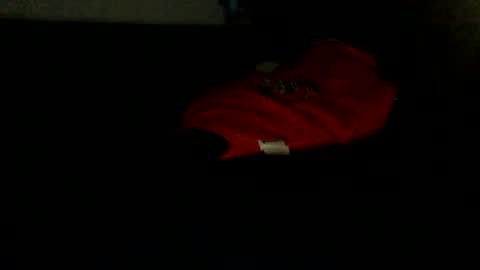 shyandlong69699 online show from September 20, 2:23 am