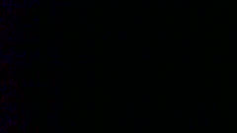 Bambi online show from February 6, 9:11 am