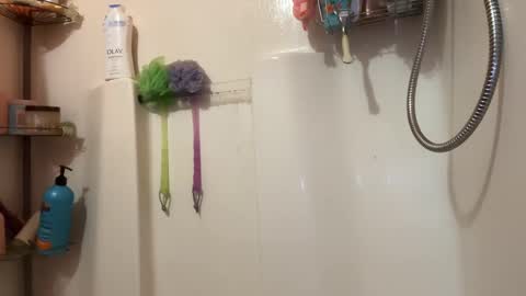 Snapshot of shyg1r1 chatting on January 1, 10:56 pm Sasha online show from January 1, 10:56 pm