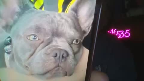 RBXs Princess online show from February 27, 2:55 am