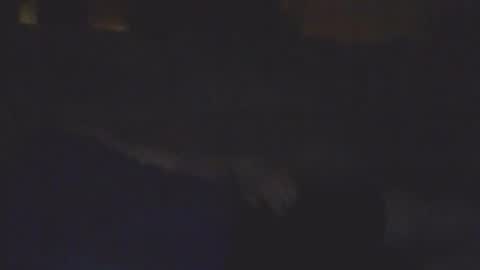 Bill online show from February 11, 8:19 am