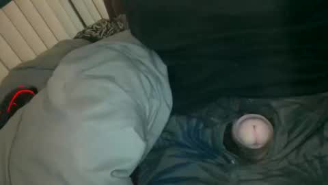 silentstiffler online show from November 30, 4:27 am