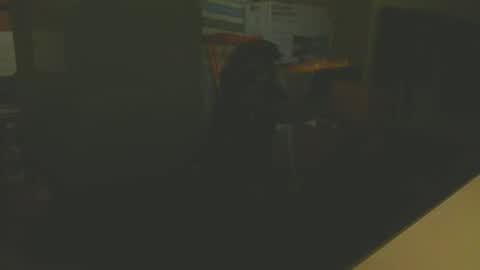 Snapshot of silvin76 chatting on January 6, 5:08 am silvin76 online show from January 6, 5:08 am