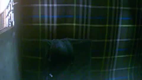 simply__me online show from February 16, 12:07 am