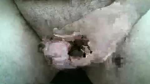 Snapshot of singlestr8man chatting on March 9, 12:09 pm HardNSouthern online show from March 9, 12:09 pm