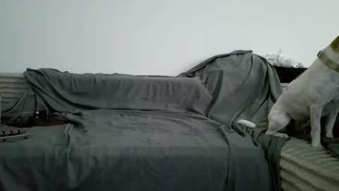 Snapshot of sircheese69x2 chatting on June 6, 8:19 am sircheese69x2 online show from June 6, 8:19 am