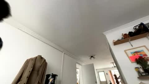 siriss_boyrag online show from February 14, 2:14 pm