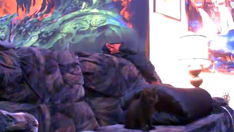 Jimmy B online show from January 4, 5:05 am