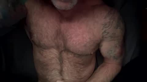 BEEF online show from February 16, 12:34 pm