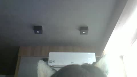 skinnykittencam online show from March 24, 5:51 pm