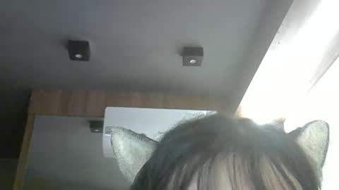 skinnykittencam online show from April 14, 3:01 am