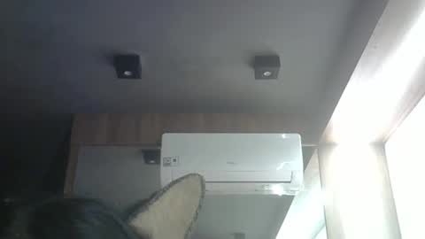 Snapshot of skinnykittencam chatting on May 4, 3:13 am skinnykittencam online show from May 4, 3:13 am