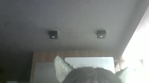 Snapshot of skinnykittencam chatting on May 8, 3:28 pm skinnykittencam online show from May 8, 3:28 pm