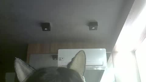 Snapshot of skinnykittencam chatting on May 10, 6:51 am skinnykittencam online show from May 10, 6:51 am