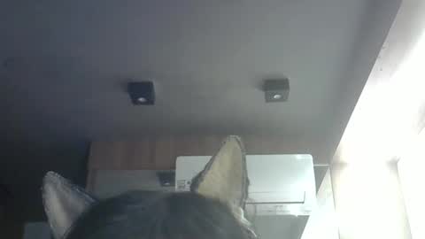 Snapshot of skinnykittencam chatting on May 14, 9:05 am skinnykittencam online show from May 14, 9:05 am