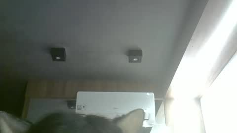 Snapshot of skinnykittencam chatting on May 17, 11:17 am skinnykittencam online show from May 17, 11:17 am