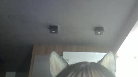 Snapshot of skinnykittencam chatting on May 18, 1:02 am skinnykittencam online show from May 18, 1:02 am