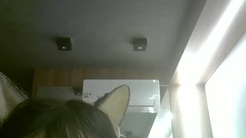 Snapshot of skinnykittencam chatting on May 18, 8:47 pm skinnykittencam online show from May 18, 8:47 pm