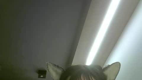 Snapshot of skinnykittencam chatting on May 19, 2:18 am skinnykittencam online show from May 19, 2:18 am