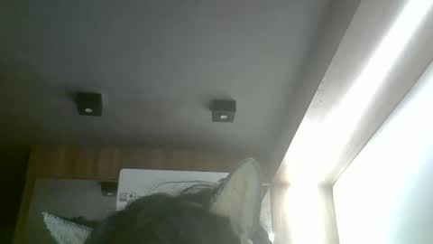 Snapshot of skinnykittencam chatting on May 20, 2:29 am skinnykittencam online show from May 20, 2:29 am