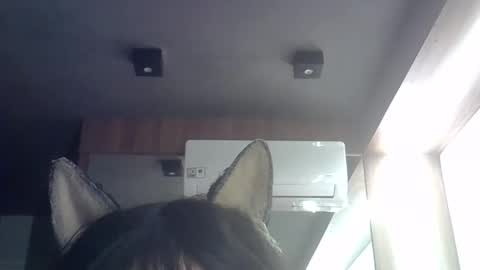Snapshot of skinnykittencam chatting on May 21, 9:16 am skinnykittencam online show from May 21, 9:16 am