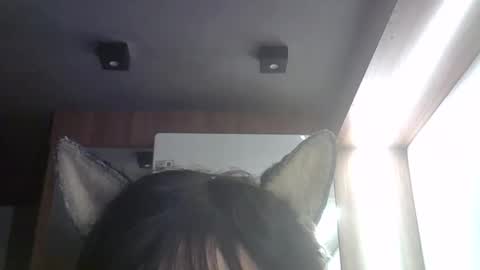 Snapshot of skinnykittencam chatting on May 22, 3:28 pm skinnykittencam online show from May 22, 3:28 pm