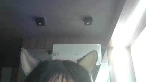 Snapshot of skinnykittencam chatting on May 23, 3:38 pm skinnykittencam online show from May 23, 3:38 pm