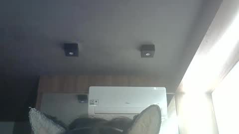 Snapshot of skinnykittencam chatting on May 24, 3:55 am skinnykittencam online show from May 24, 3:55 am