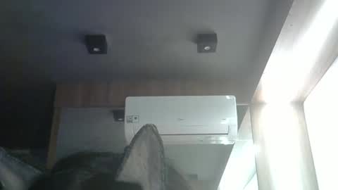 Snapshot of skinnykittencam chatting on May 24, 4:01 pm skinnykittencam online show from May 24, 4:01 pm