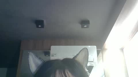 Snapshot of skinnykittencam chatting on May 26, 9:38 am skinnykittencam online show from May 26, 9:38 am
