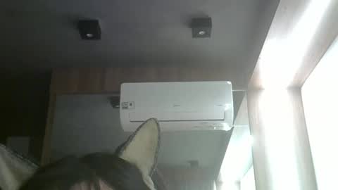 Snapshot of skinnykittencam chatting on May 26, 11:01 pm skinnykittencam online show from May 26, 11:01 pm