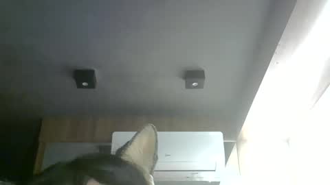 Snapshot of skinnykittencam chatting on May 28, 6:38 pm skinnykittencam online show from May 28, 6:38 pm