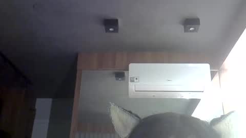 Snapshot of skinnykittencam chatting on May 30, 6:54 am skinnykittencam online show from May 30, 6:54 am