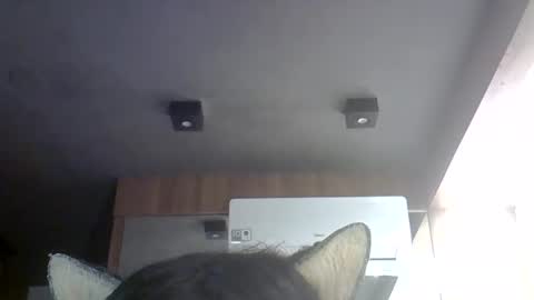 Snapshot of skinnykittencam chatting on May 30, 7:00 pm skinnykittencam online show from May 30, 7:00 pm