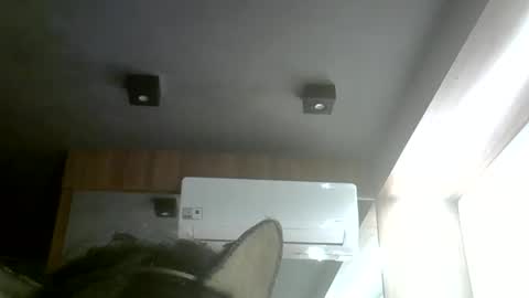 Snapshot of skinnykittencam chatting on May 31, 8:21 pm skinnykittencam online show from May 31, 8:21 pm
