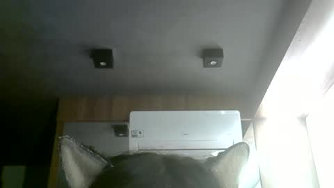 Snapshot of skinnykittencam chatting on June 1, 4:20 pm skinnykittencam online show from June 1, 4:20 pm