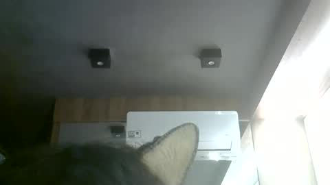 Snapshot of skinnykittencam chatting on June 6, 9:30 pm skinnykittencam online show from June 6, 9:30 pm