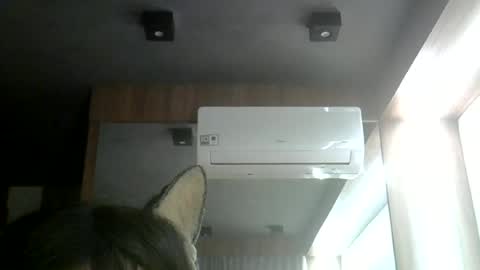 Snapshot of skinnykittencam chatting on June 12, 11:35 pm skinnykittencam online show from June 12, 11:35 pm