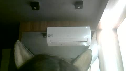 Snapshot of skinnykittencam chatting on June 14, 2:24 am skinnykittencam online show from June 14, 2:24 am