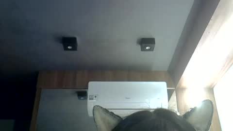 Snapshot of skinnykittencam chatting on June 19, 12:04 am skinnykittencam online show from June 19, 12:04 am