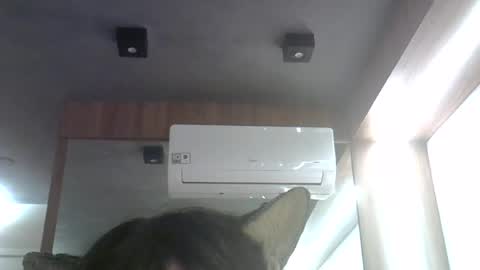 Snapshot of skinnykittencam chatting on June 26, 12:59 am skinnykittencam online show from June 26, 12:59 am