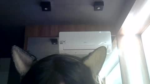 Snapshot of skinnykittencam chatting on July 3, 8:43 am skinnykittencam online show from July 3, 8:43 am