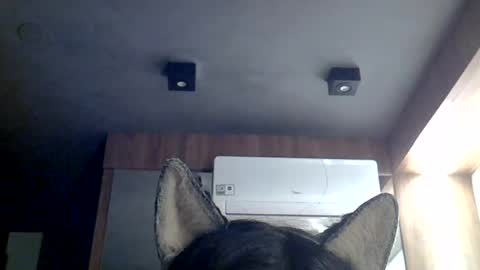 Snapshot of skinnykittencam chatting on July 12, 7:43 am skinnykittencam online show from July 12, 7:43 am