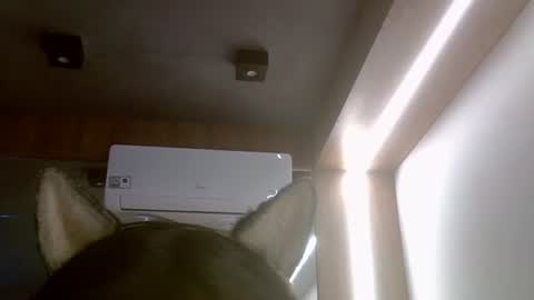 Snapshot of skinnykittencam chatting on July 16, 5:52 pm skinnykittencam online show from July 16, 5:52 pm